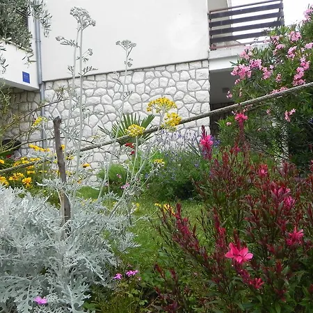 Apartments Katalenic Selce Exterior photo