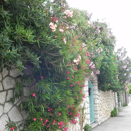 Apartments Katalenic Selce Exterior photo