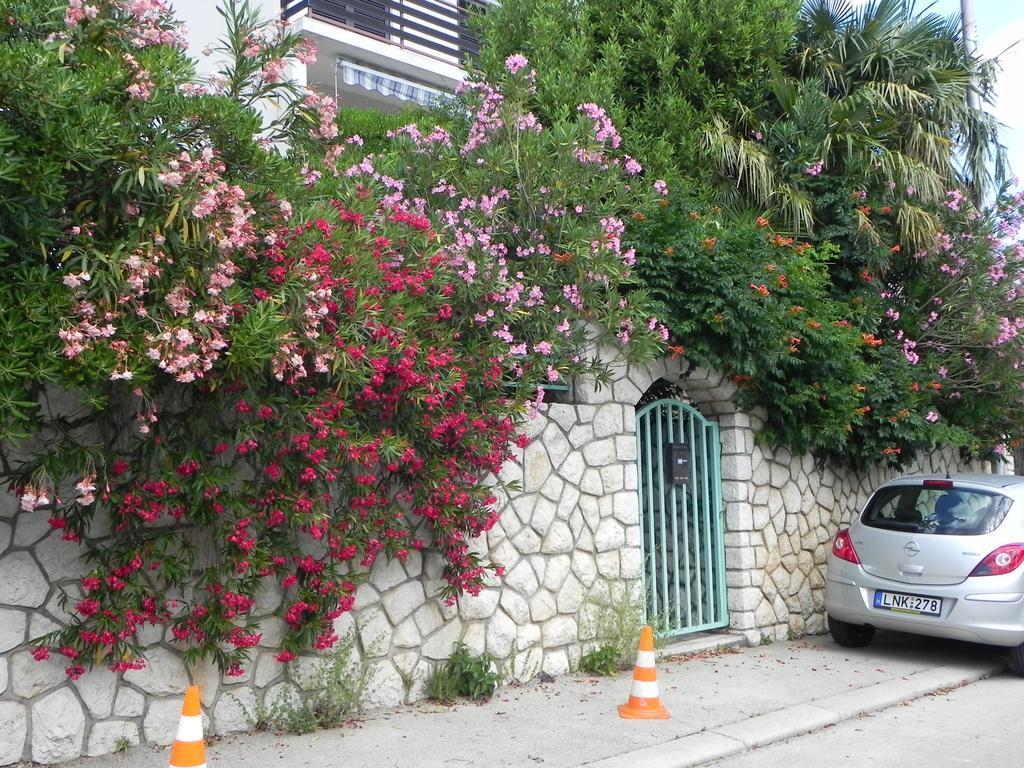 Apartments Katalenic *