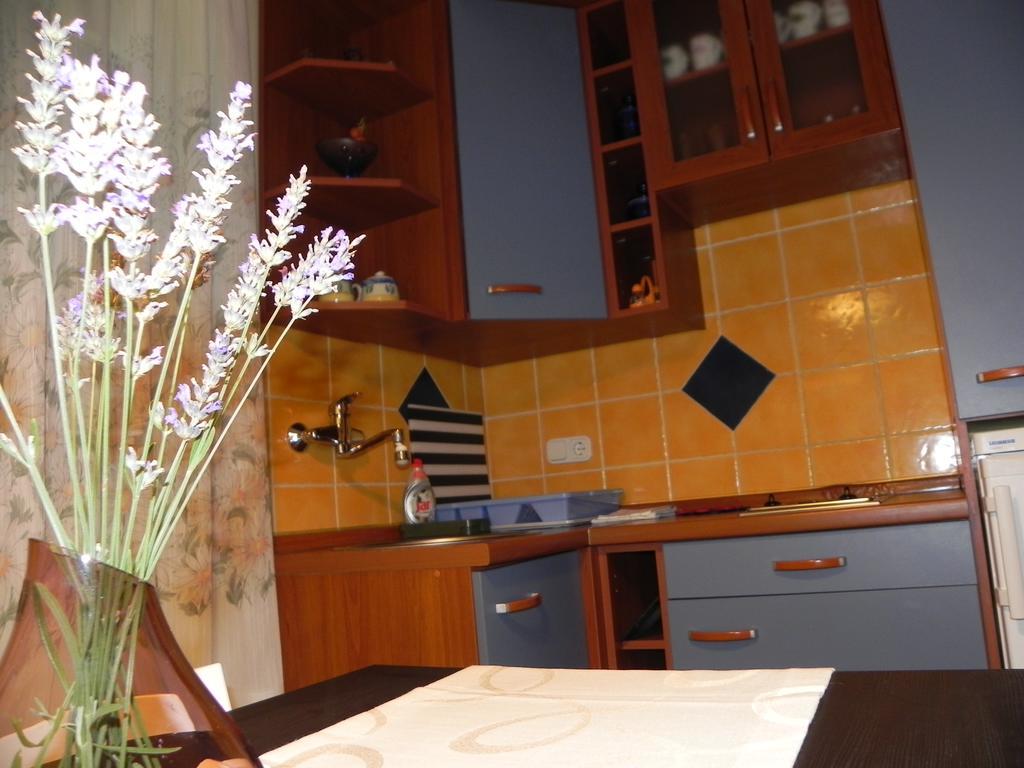 Apartments Katalenic *