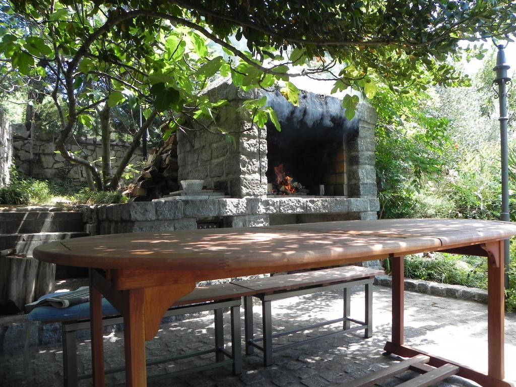 Apartments Katalenic Apartment Selce