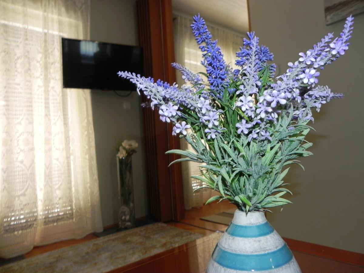 Apartments Katalenic * Selce